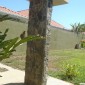 Piedra natural en obra — Deco Rock Costa Rica 22