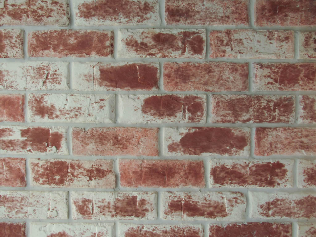 Demolicion tipo Florentina DE costa rica