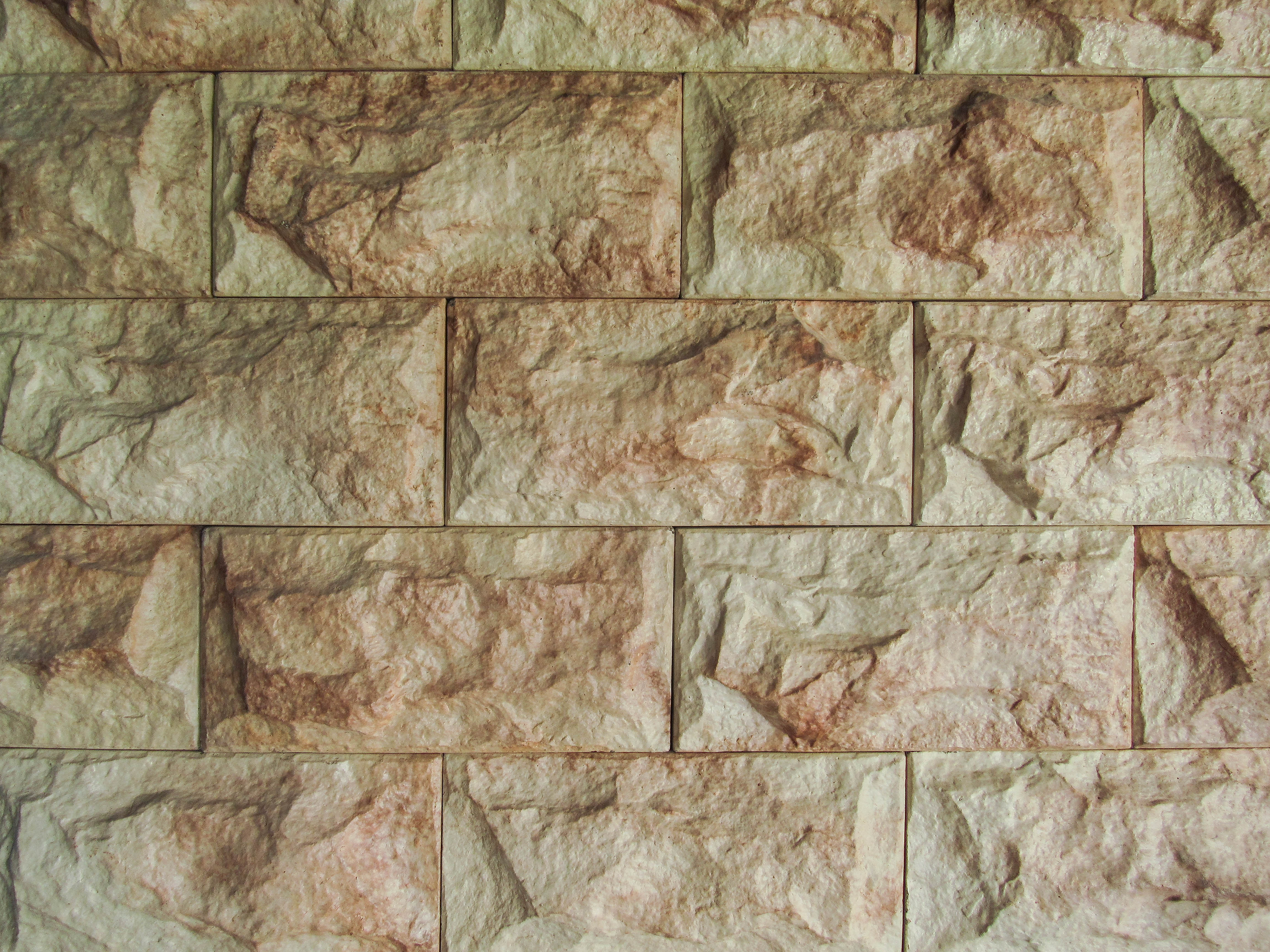 Jerusalem tipo Miel JR costa rica