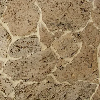 Piedra Coralina Pulido Irregular